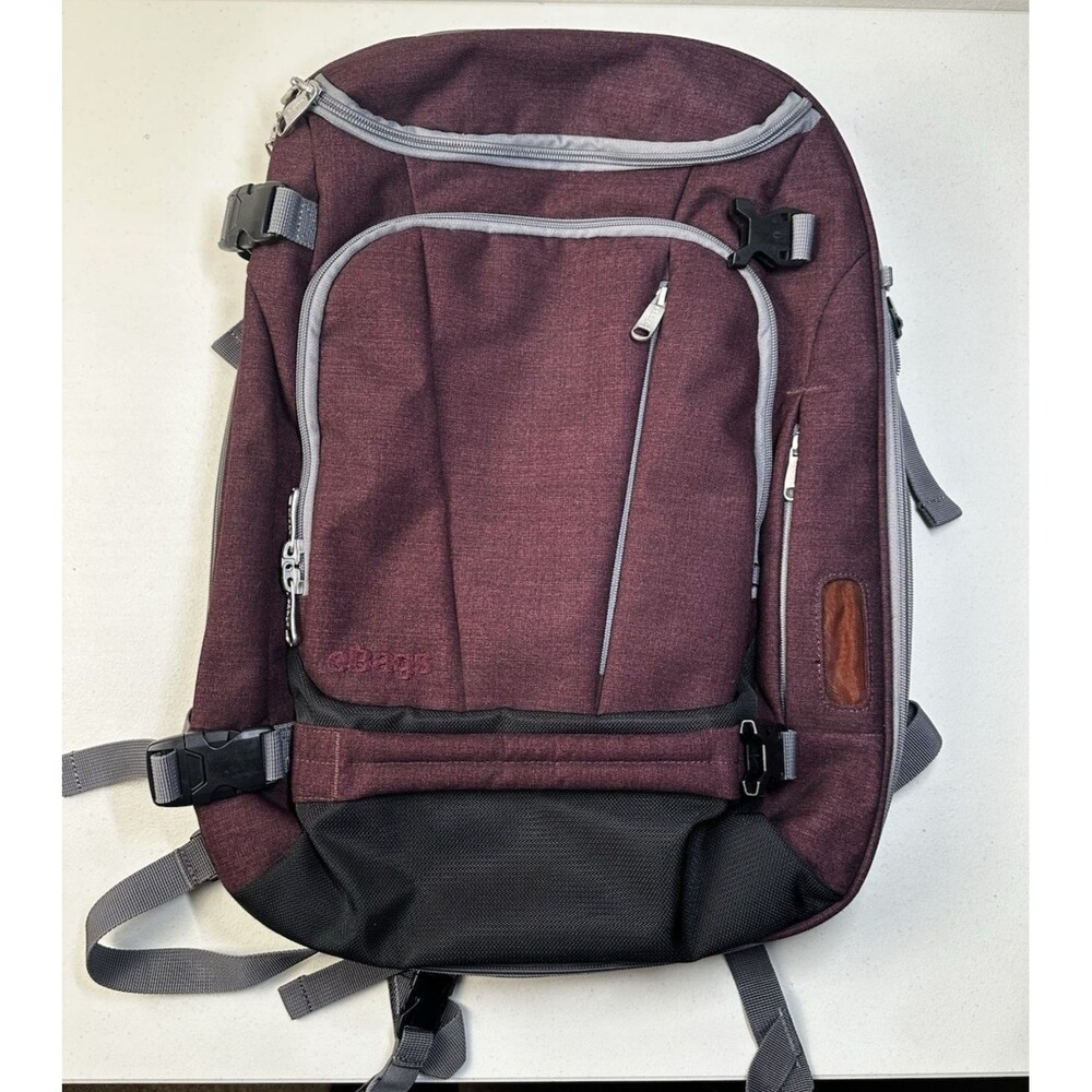 eBags Mother Lode Weekender Convertible Expandable Junior 20" Backpack